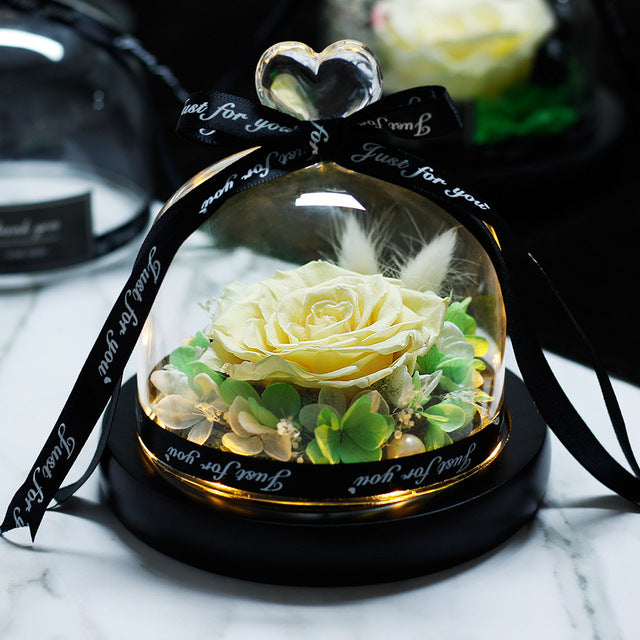 Mother Day Present Dried Flowers The